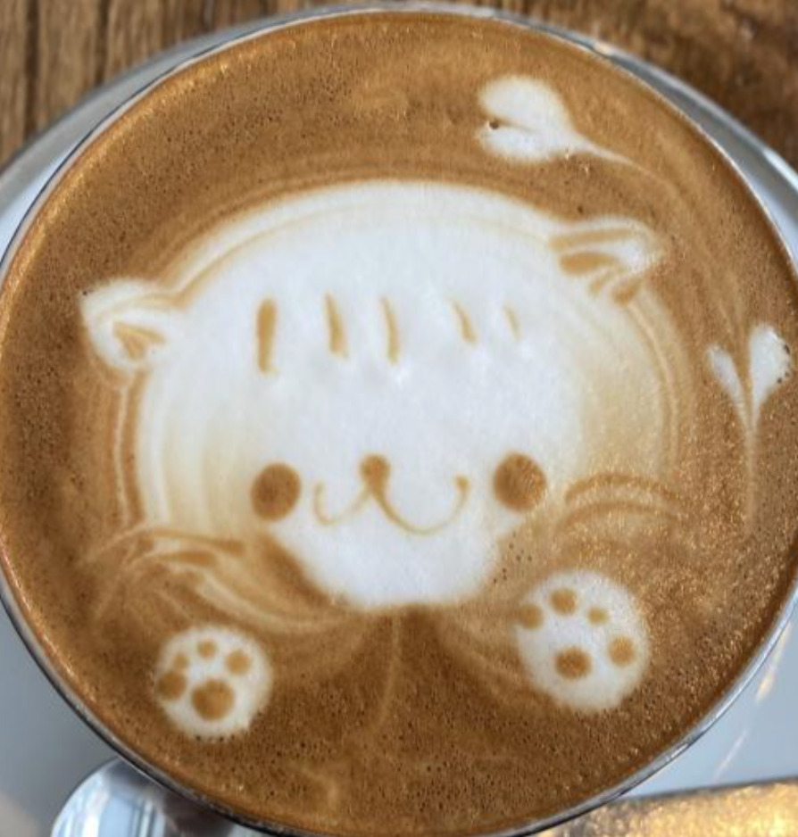 cat-latte-art